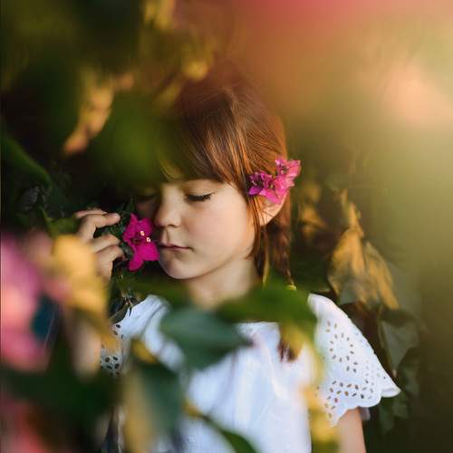 Photo #10963716