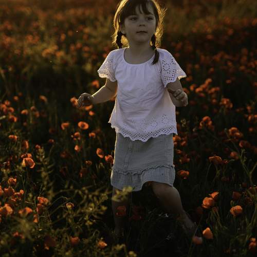 Photo #10963717