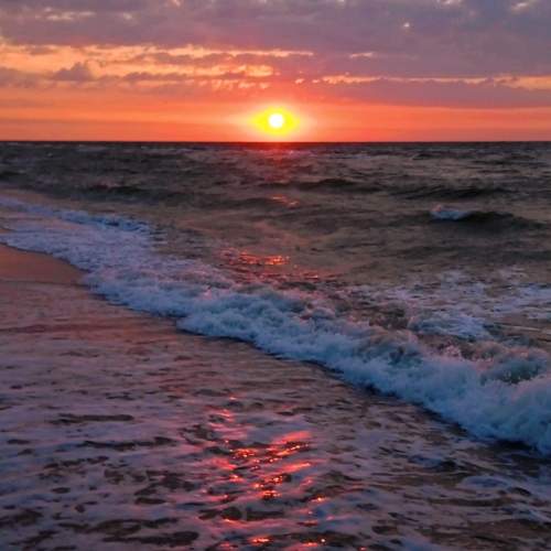 Photo #10964117