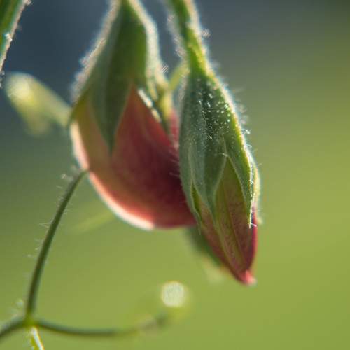 Photo #10964610