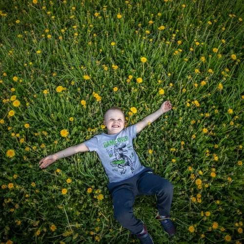 Photo #10964635