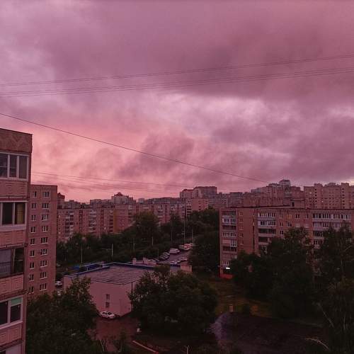 Photo #10964790