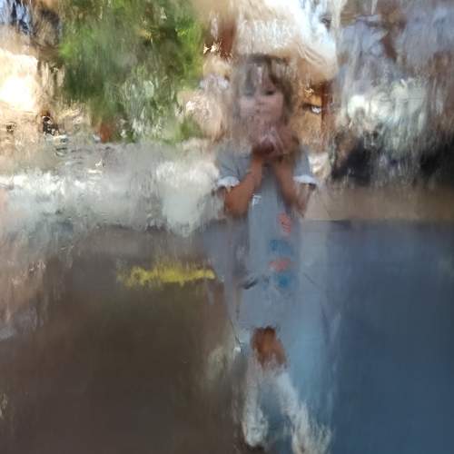 Photo #10964841
