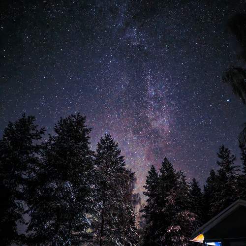 Photo #10965375