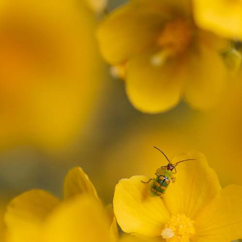 Photo #10965907