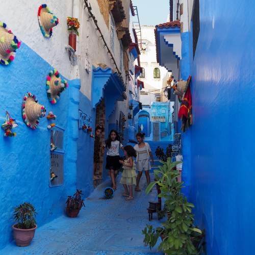 Photo #10966291