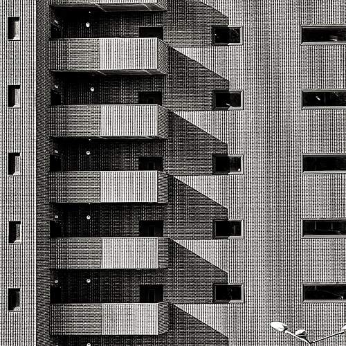 Photo #10966561