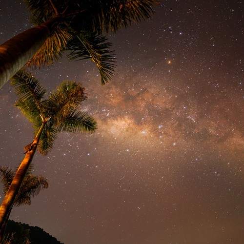 Photo #10966714