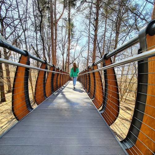 Photo #10967020
