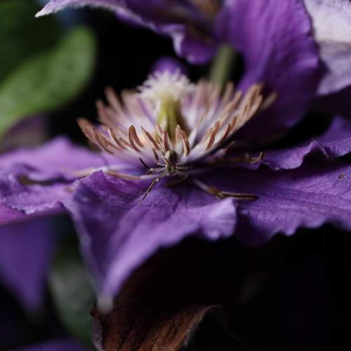 Photo #10967222