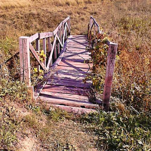 Photo #10967300