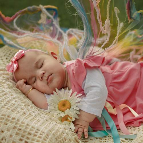Photo #10967479
