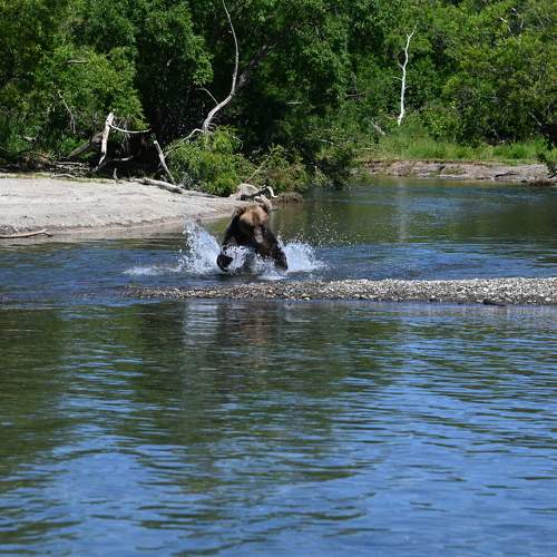 Photo #10967519
