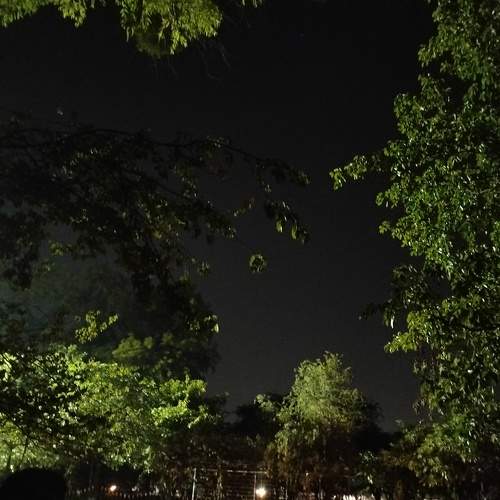 Photo #10967551