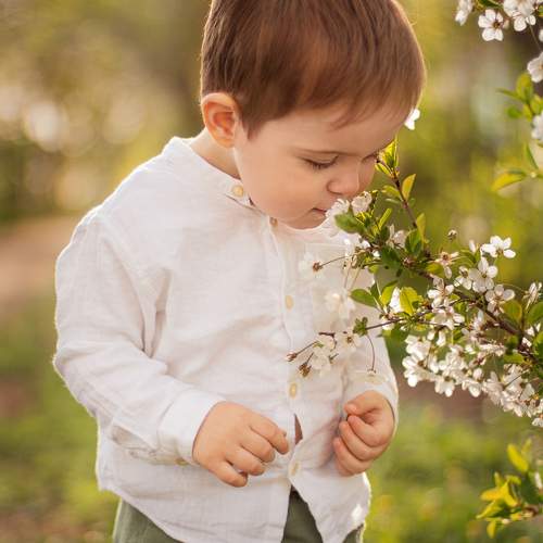 Photo #10968341