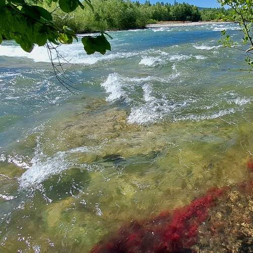 Photo #10968646