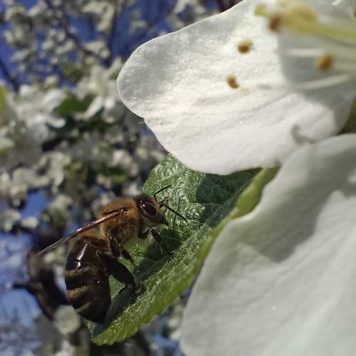 Photo #10969037