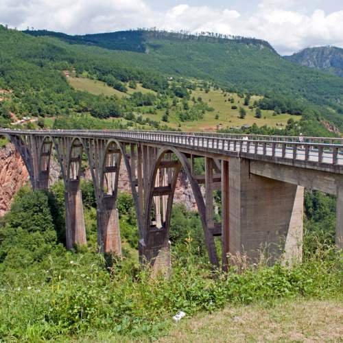 Photo #10969058