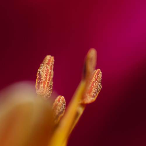 Photo #10970156