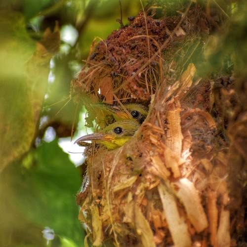 Photo #10970208