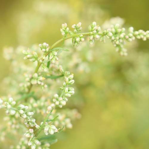 Photo #10970274