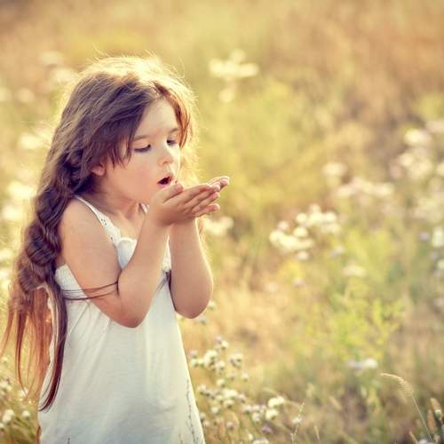 Photo #10970701