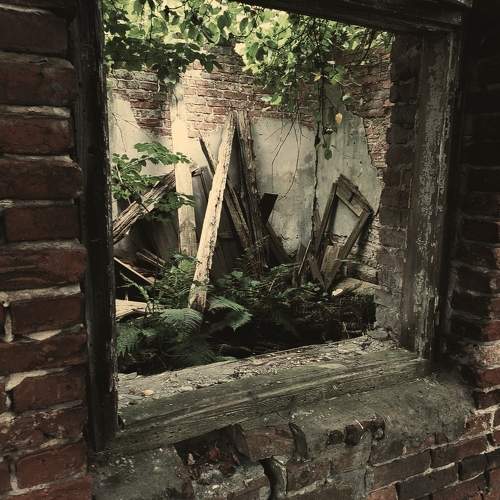 shadows of forgotten people