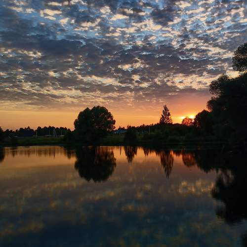 Photo #10971749
