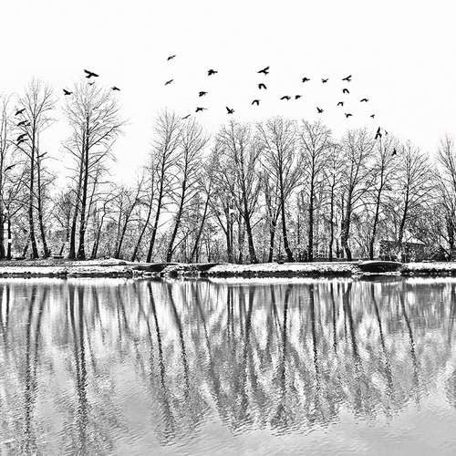 Photo #10971956