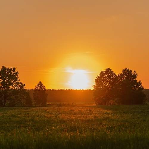 Photo #10972217