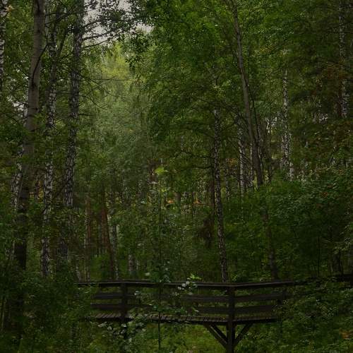 Photo #10972271