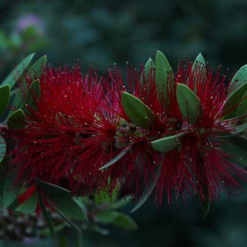 Photo #10972429
