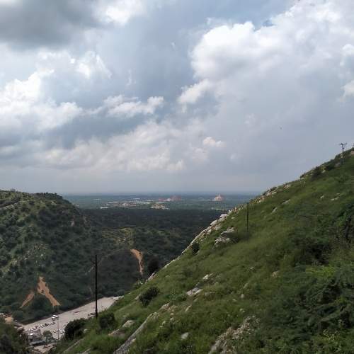 Photo #10973499