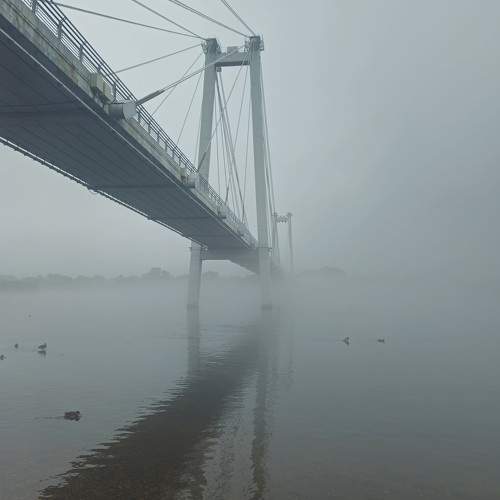 Photo #10973716