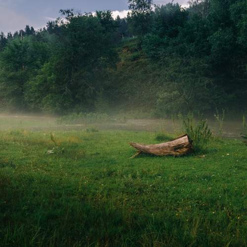The Misty Root