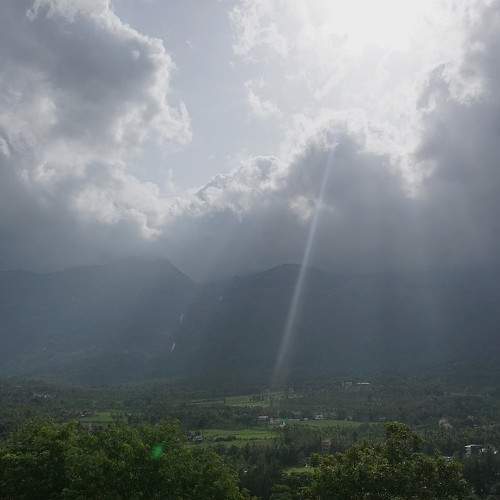 Photo #10974167