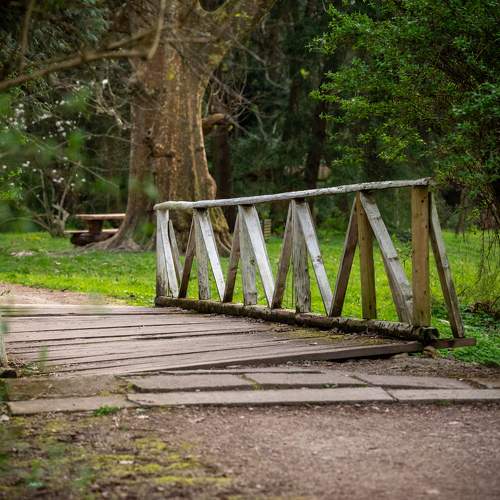 Photo #10974672