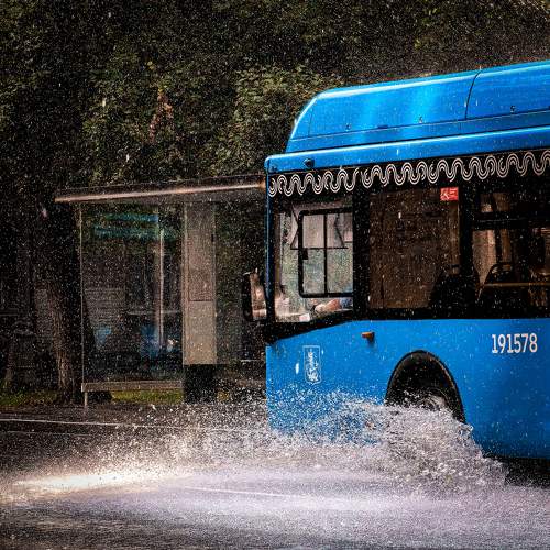 Photo #10974767