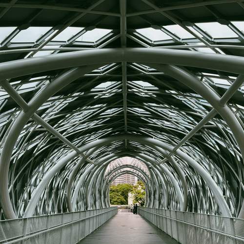 Photo #10975152