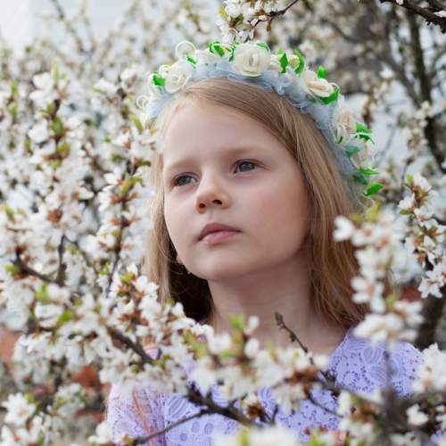 Photo #10975554