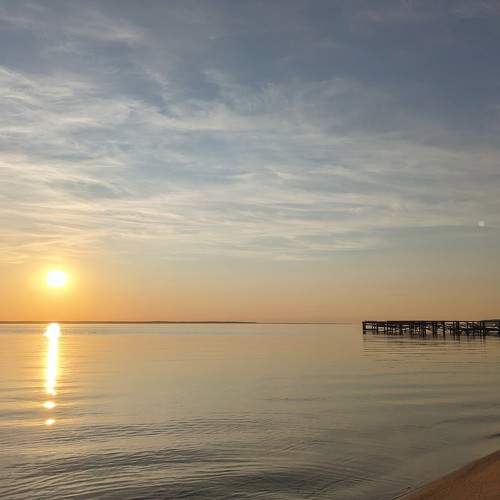Photo #10975814