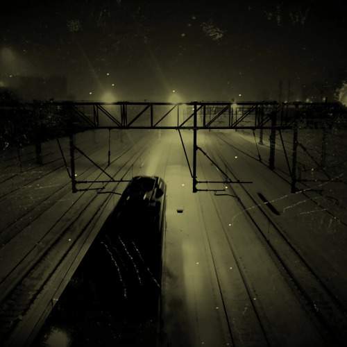 Photo #10976282