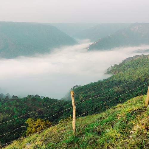 Photo #10976443