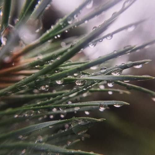 Photo #10976751