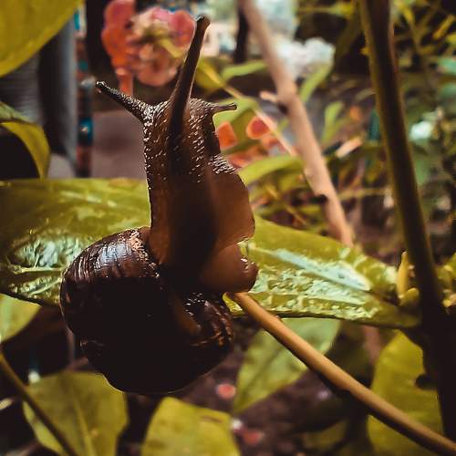 Photo #10977216