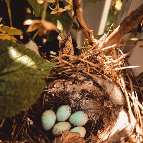 Photo #10977219