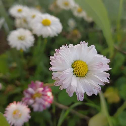 Photo #10977378