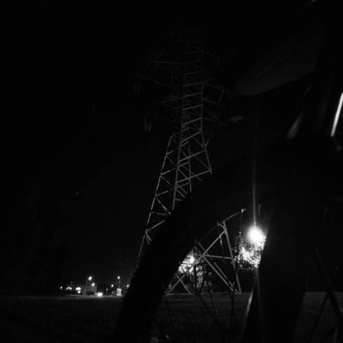 Photo #10977879