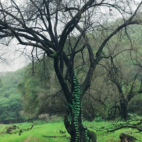 Photo #10977982