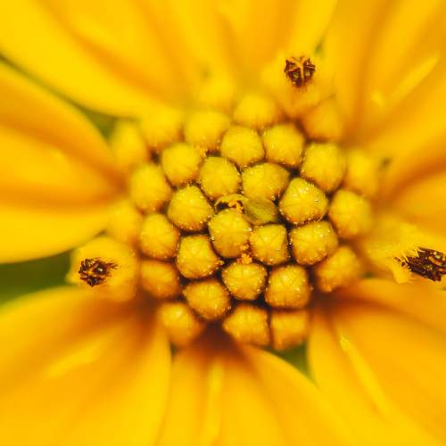 Photo #10978232